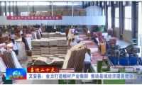 河北文安县全力打造板材产业集群
