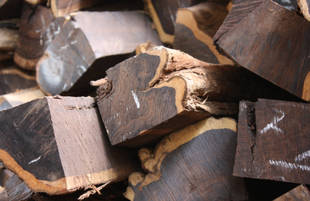 加蓬上半年单板等加工木材出口价值增长55％