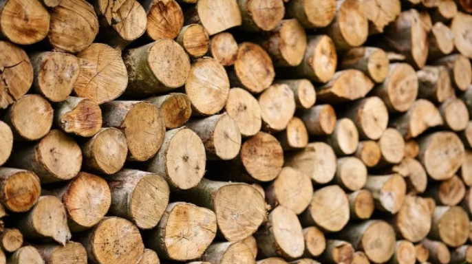【木材市场】越南木制品增长势头被抑制｜匈牙利：将放宽木材砍伐限制